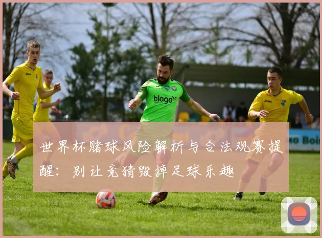 世界杯赌球风险解析与合法观赛提醒:别让竞猜毁掉足球乐趣