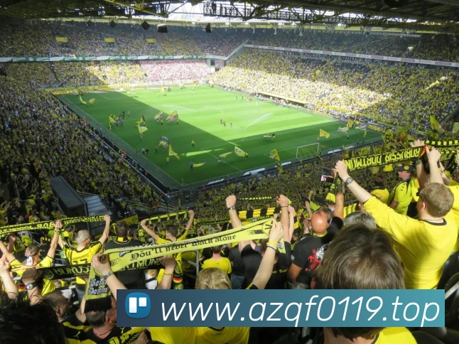 华会体育官网服务体系